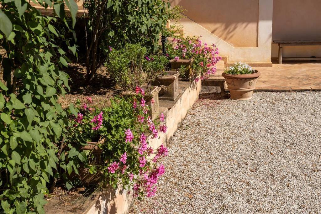 Apartment In Nature,10Min From City Perugia Kültér fotó