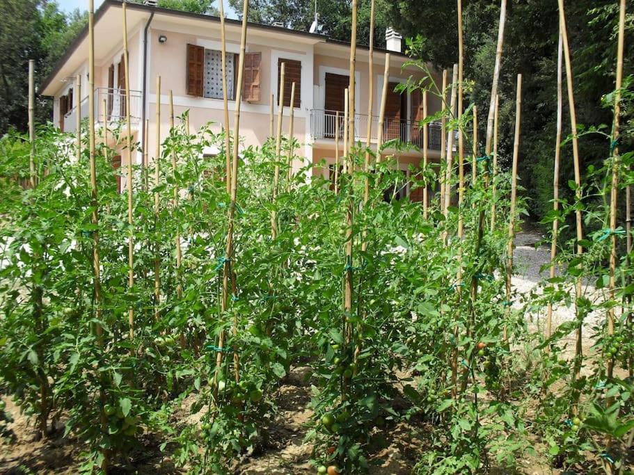Apartment In Nature,10Min From City Perugia Kültér fotó